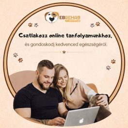 Kutyatáplálkozási tanfolyam