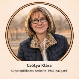 Konzultáció