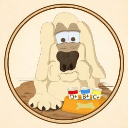Vitaminok kutyáknak – kutyavitaminok és táplálékkiegészítők