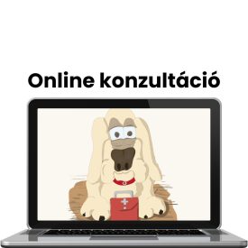 Ideggyök gyulladás, porckorongsérv