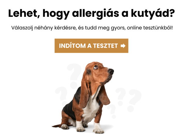 Allergiás-e a kutyám? Teszt