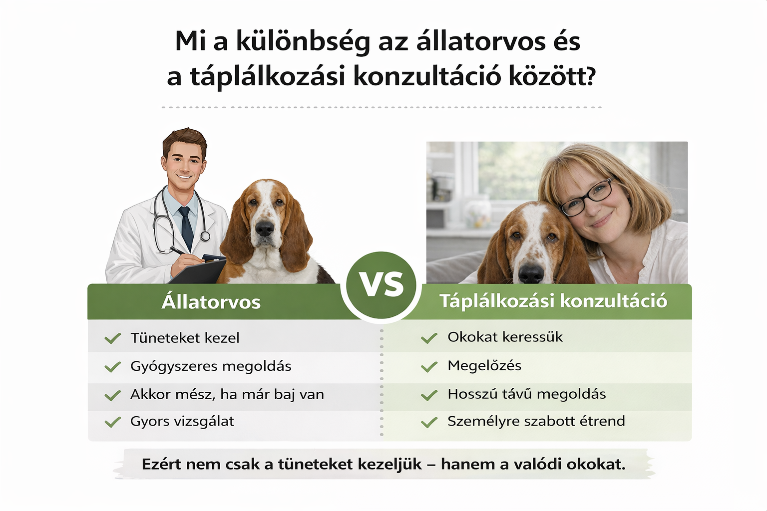 Kutya táplálkozási konzultáció vs állatorvos – mi a különbség?