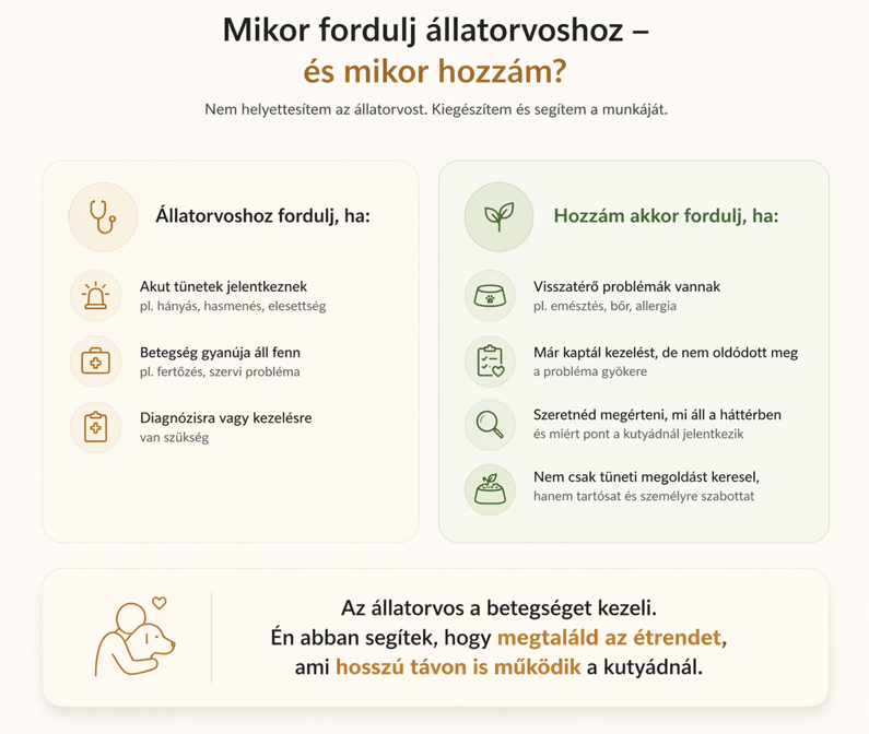 Ez az összehasonlítás bemutatja, mikor érdemes állatorvoshoz fordulni, és mikor lehet hatékony megoldás a kutyatáplálkozási konzultáció emésztési, allergiás vagy visszatérő problémák esetén.
